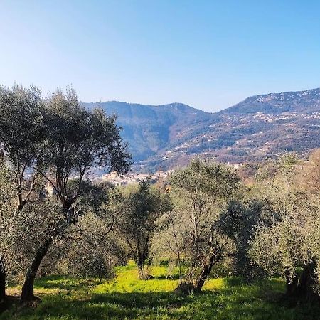 Bas De Villa. Cote D'Azur, A 20 Kms De Nice Contes  Exterior foto