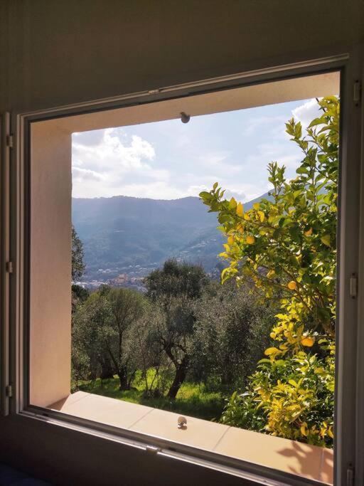 Bas De Villa. Cote D'Azur, A 20 Kms De Nice Contes  Exterior foto